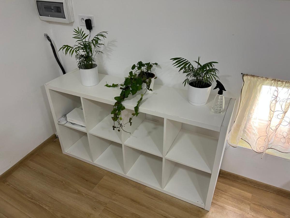 كاتوفيتسه Green Apartment - Free Parking المظهر الخارجي الصورة